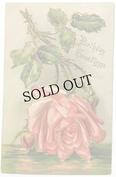 画像1: Postcard 　アンティークポストカード　薔薇のお花　アメリカ (1)