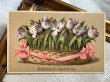 画像2: Postcard  　アンティークポストカード　チューリップのお花かご (2)