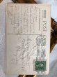 画像4: Postcard  　アンティークポストカード　お花　アメリカ1912年 (4)