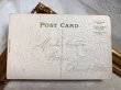画像4: Postcard  　アンティークポストカード　伝書鳩とお花　薔薇　忘れな草　 (4)