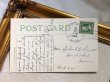 画像3: Postcard　アンティークポストカード　キノコの上で考え事をするカエル　アメリカ1911年 (3)