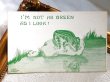 画像2: Postcard　アンティークポストカード　水面の自分の姿を見つめるカエル　（未使用） (2)