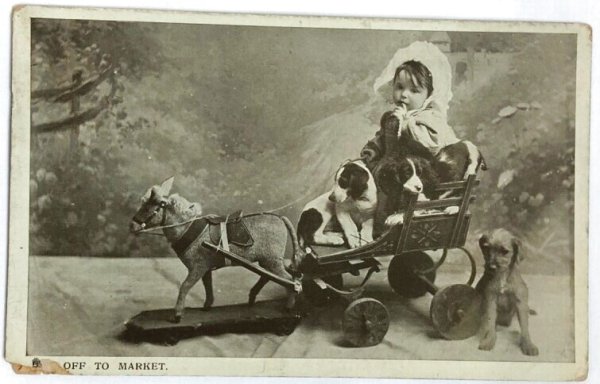 画像1: Postcard　アンティークポストカード　木馬車に乗る小さな女の子と子犬たち 　イギリス1907年 (1)