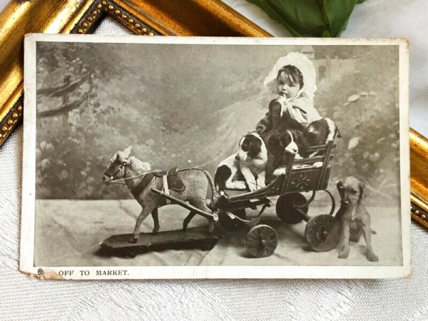 画像2: Postcard アンティークポストカード 木馬車に乗る小さな女の子と子犬たち  イギリス1907年 (2)