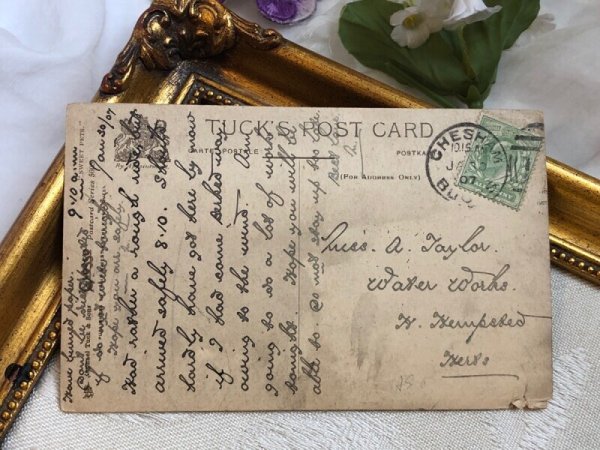 画像5: Postcard アンティークポストカード 木馬車に乗る小さな女の子と子犬たち  イギリス1907年 (5)