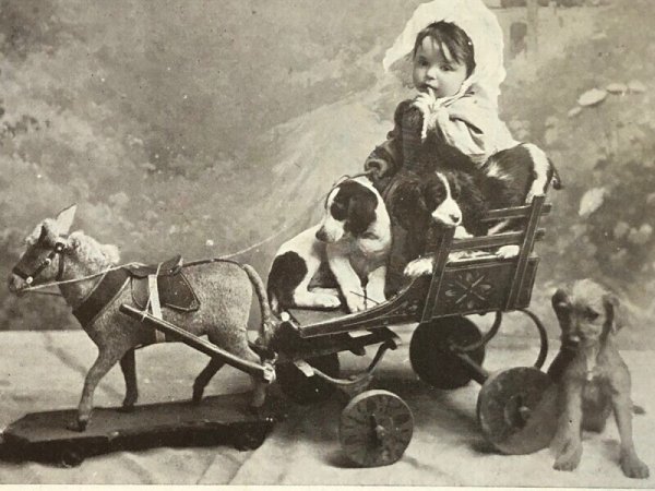 画像3: Postcard アンティークポストカード 木馬車に乗る小さな女の子と子犬たち  イギリス1907年 (3)