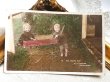 画像2: Postcard　アンティークポストカード　カートで遊ぶ幼い兄妹　子ども　写真　 (2)
