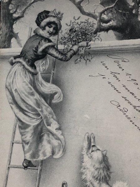 画像3: Postcard アンティークポストカード クリスマス ヤドリギを持つ女性と犬 スピッツ系  R.R.Wichera M.M.VIENNE  (3)