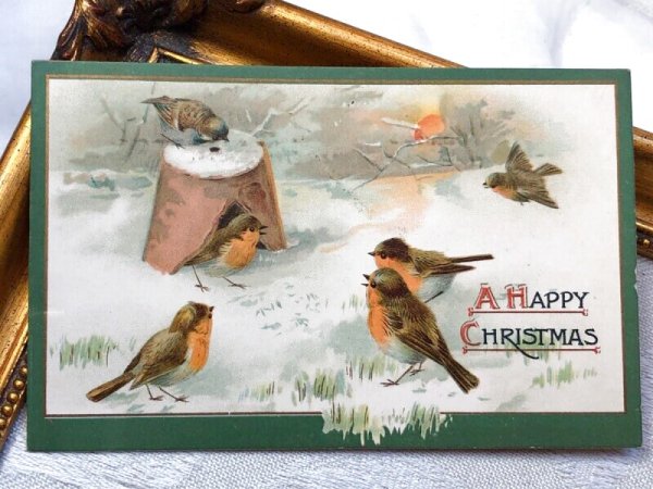 画像2: Postcard  　アンティークポストカード　クリスマス　小鳥　ロビンと植木鉢 (2)
