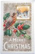 画像1: ▼SALE▼  Postcard  　アンティークポストカード　クリスマス　小鳥とホーリー　 (1)