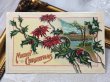 画像2: ▼SALE▼　Postcard  アンティークポストカード　クリスマス　Xmas　ポインセチア　poinsettia (2)