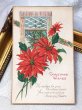 画像2: Postcard  アンティークポストカード　クリスマス　Xmas　ポインセチア　　poinsettia　（未使用） (2)