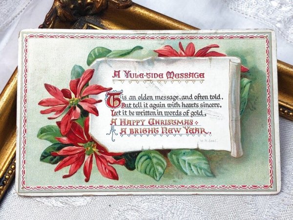 画像2: Postcard  アンティークポストカード クリスマス Xmas ポインセチア  poinsettia  (2)