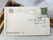 画像3: Postcard  アンティークポストカード　クリスマス　Xmas　ポインセチア　　poinsettia　 (3)