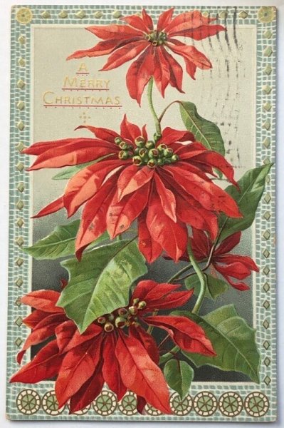 画像1: Postcard  アンティークポストカード　クリスマス　Xmas　ポインセチア　　poinsettia　 (1)