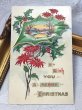 画像2: Postcard  アンティークポストカード　クリスマス　Xmas　ポインセチア　poinsettia (2)