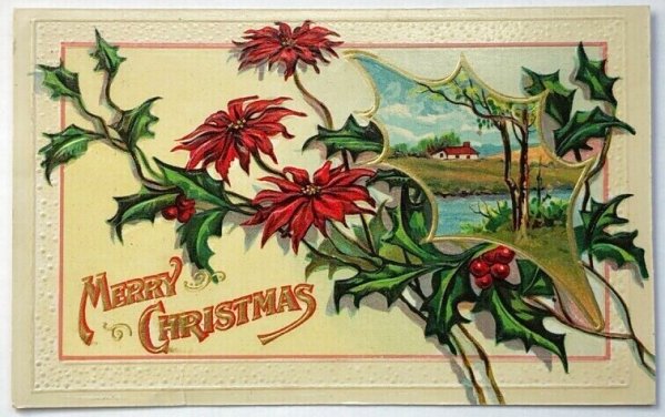 画像1: ▼SALE▼　Postcard  アンティークポストカード　クリスマス　Xmas　ポインセチア　poinsettia (1)