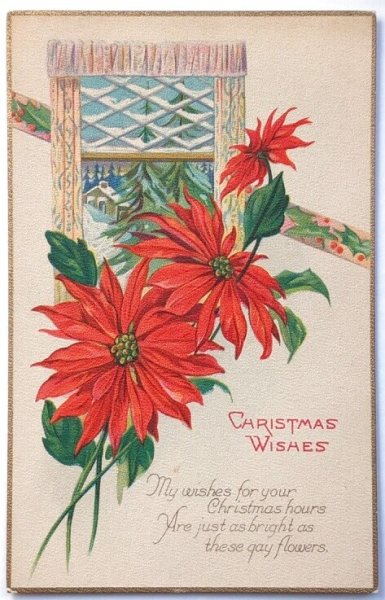 画像1: Postcard  アンティークポストカード　クリスマス　Xmas　ポインセチア　　poinsettia　（未使用） (1)