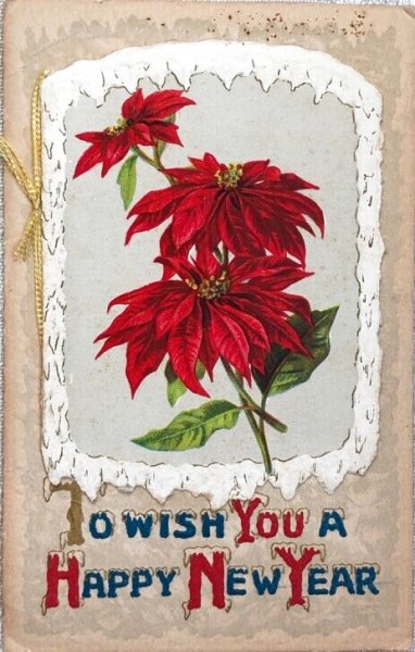 画像1: Postcard  アンティークポストカード　新年祝い　New Year　ポインセチア　ブックレット　仕掛けあり (1)