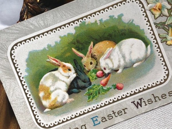画像3: Postcard アンティークポストカード イースター ウサギたち スイセン Ellen Clapsaddle (未使用) (3)