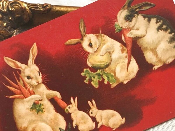 画像3: Postcard アンティークポストカード イースター お食事中のウサギの家族 Helena Maguire (3)