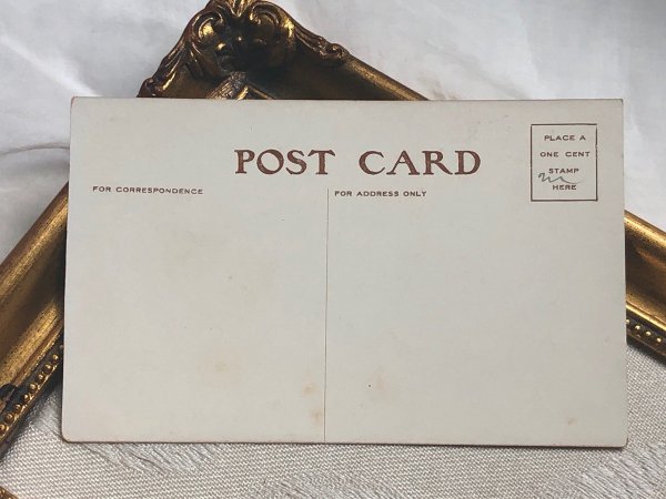 画像3: Postcard アンティークポストカード イースター  二羽の白ウサギさん (未使用) (3)