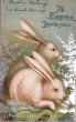 画像1: Postcard　アンティークポストカード　イースター 　二羽の白ウサギさん　Ellen Clapsaddle ? (1)