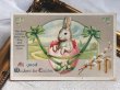 画像2: Postcard　アンティークポストカード　イースター 　卵の中のウサギさん　Ellen Clapsaddle  (2)