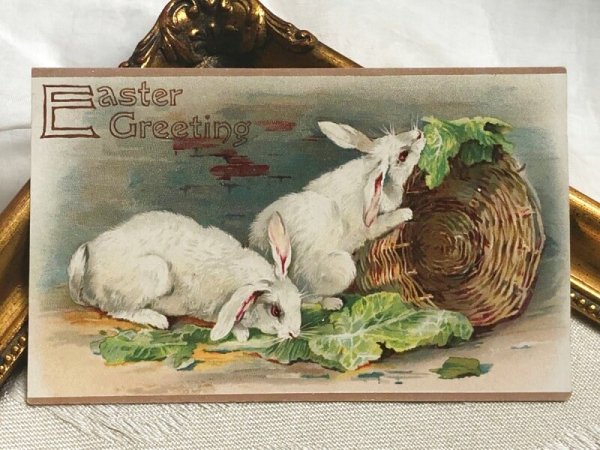 画像2: Postcard アンティークポストカード イースター  二羽の白ウサギさん (未使用) (2)