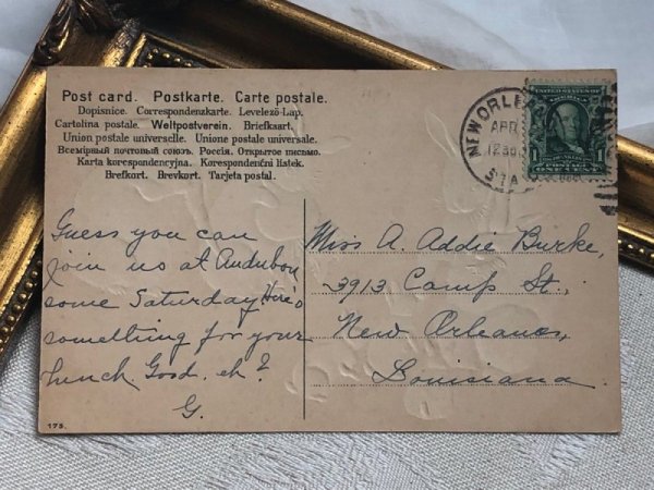 画像4: Postcard アンティークポストカード イースター お食事中のウサギの家族 Helena Maguire (4)