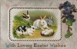 画像1: Postcard　アンティークポストカード　イースター　卵とウサギたち　スミレ　Ellen Clapsaddle (未使用) (1)