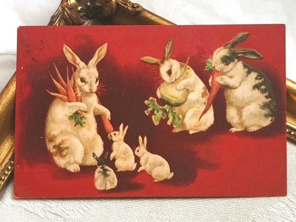 画像2: Postcard アンティークポストカード イースター お食事中のウサギの家族 Helena Maguire (2)