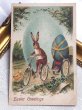 画像2: Postcard　アンティークポストカード　イースター  自転車で卵を運ぶウサギさん　（未使用） (2)