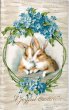 画像1: Postcard　アンティークポストカード　イースター 　ウサギさんと忘れな草のお花 (1)