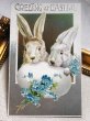 画像2: Postcard　アンティークポストカード　イースター 　ウサギと卵　忘れな草のお花　 (2)
