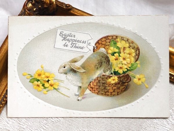 画像2: Postcard アンティークポストカード イースター  ウサギさんと黄色のお花 (未使用) (2)