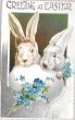 画像1: Postcard　アンティークポストカード　イースター 　ウサギと卵　忘れな草のお花　 (1)