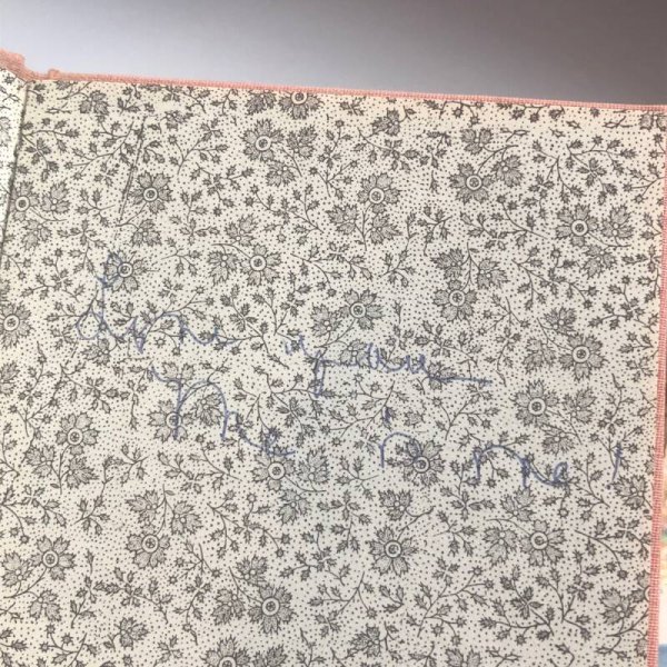 ボールペンでの書き込みあり