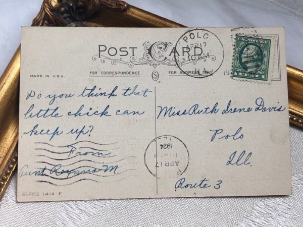 画像4: Postcard アンティークポストカード イースター  卵を持ち出すウサギさんを追いかけるニワトリ  (4)