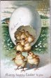 画像1: Postcard  アンティークポストカード　イースター　卵から出てきたヒヨコさん　Ellen Clapsaddle (1)