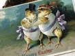 画像3: Postcard  アンティークポストカード　イースター　卵ドレスでお出かけをするヒヨコさん　Ellen Clapsaddle (3)