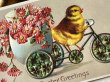 画像3: Postcard  アンティークポストカード　イースター　自転車に乗るヒヨコさん　（未使用） (3)
