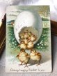 画像2: Postcard  アンティークポストカード　イースター　卵から出てきたヒヨコさん　Ellen Clapsaddle (2)