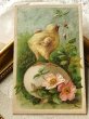 画像2: Postcard　アンティークポストカード　イースター　　卵の上のヒヨコ　プリムローズ　 (2)