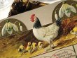 画像3: Postcard　アンティークポストカード　イースター　　ニワトリとヒヨコ　スノードロップのお花　1915年 (3)