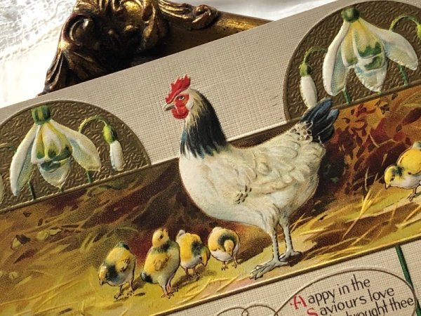 画像3: Postcard アンティークポストカード イースター  ニワトリとヒヨコ スノードロップのお花 1915年 (3)