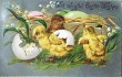 画像1: Postcard　アンティークポストカード　イースター　卵とヒヨコ　スズランのお花　 (1)