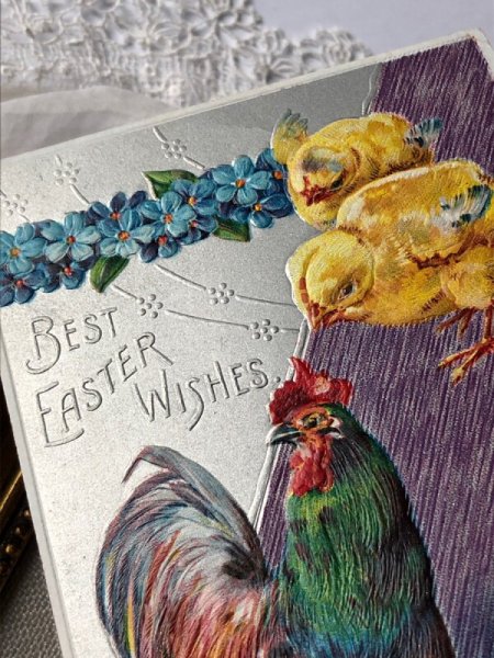 画像3: Postcard　アンティークポストカード　イースター　　ニワトリとヒヨコ　忘れな草のお花　 (3)