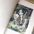 画像11: Vintage Book  Alice's Adventures in Wonderland/Through the Looking Glass, Lewis Carroll 1946 1st Special Color Illus. Edition Set Slipcaseアンティーク本　洋書　不思議の国のアリス / 鏡の国のアリス　2冊セット　スリップケース付き　1946年 (11)