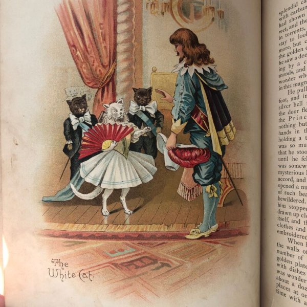 童話「白い猫」の挿絵です